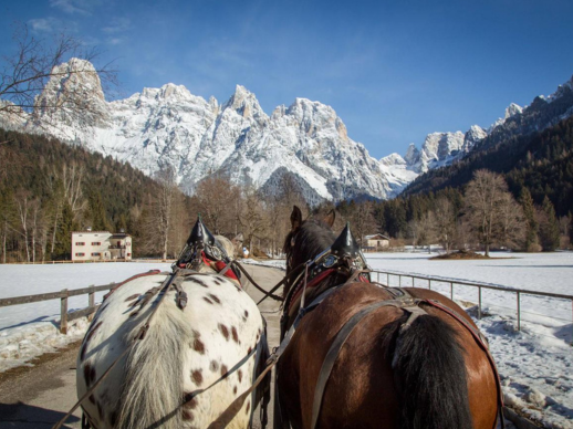 Escursione in Carrozza